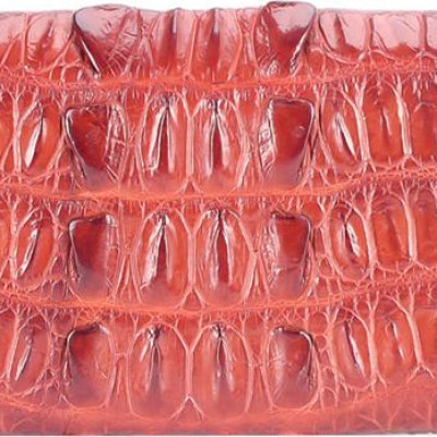 Ví Nữ Huy Hoàng HT3203 (10.5 x 19 cm) - Nâu Đỏ