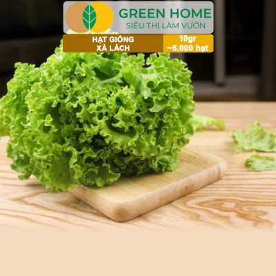 Hạt Giống Rau Xà Lách Vàng Greenhome, Gói 10g~6000 hạt, Dễ Trồng Quanh Năm, Nảy Mầm Cao, Thu Hoạch Nhanh, Năng Suất Cao R13