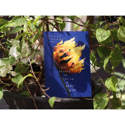 Một thoáng ta rực rỡ ở nhân gian (On earth we