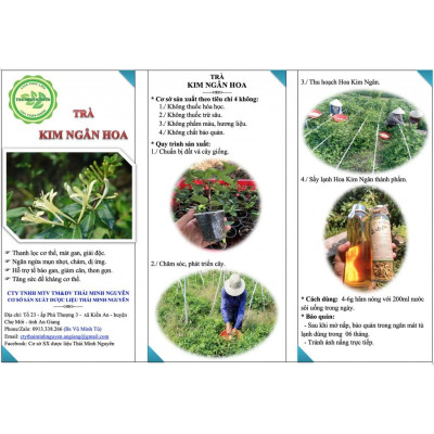 TRÀ KIM NGÂN HOA (100% NỤ HOA) TÚI 50G - THÁI MINH NGUYÊN. Hàng chuẩn chất lượng số 1 Việt Nam.