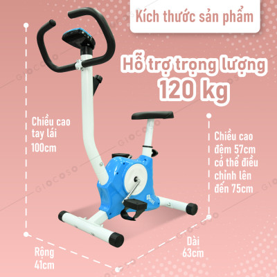 Bg Xe đạp tập thể dục trong nhà Mẫu YS02 WHITE (hàng nhập khẩu)