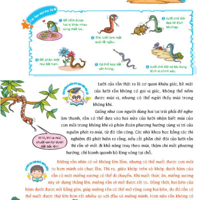 10 Vạn Câu Hỏi Vì Sao Dành Cho Thiếu Nhi