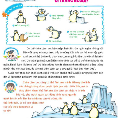 10 Vạn Câu Hỏi Vì Sao Dành Cho Thiếu Nhi