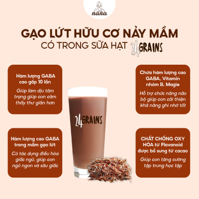 Thùng 12 Hộp Sữa Hạt Từ Gạo Lứt Hữu Cơ Nảy Mầm 24Grains Vị Socola Tự Nhiên Cho Trẻ Từ 3 Tuổi & Cả Gia Đình