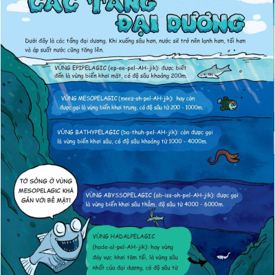 Siêu Nhí Khám Phá Đại Dương