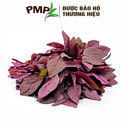 Hạt Giống Rau Dền Đỏ PMP 05g