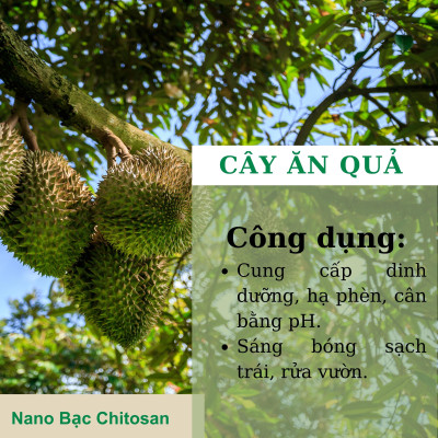 Phân bón lá vi lượng Super-Thives Plus NANO BẠC CHITOSAN cung cấp các nguyên tố vi lượng, tăng sức đề kháng và kích thích tăng trưởng cho cây trồng