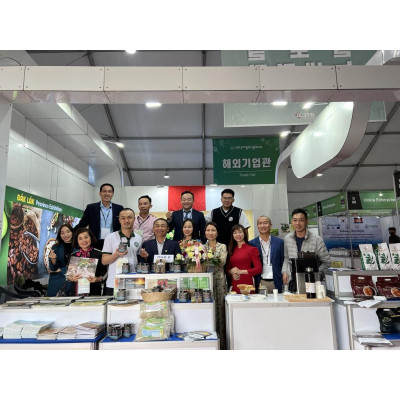 Combo 3 Mật Ong Bánh Tổ Jade Mountain Chứa Sáp Ong Nguyên Vẹn Vị Ngọt Tự Nhiên Chất Lượng Cao 500gr