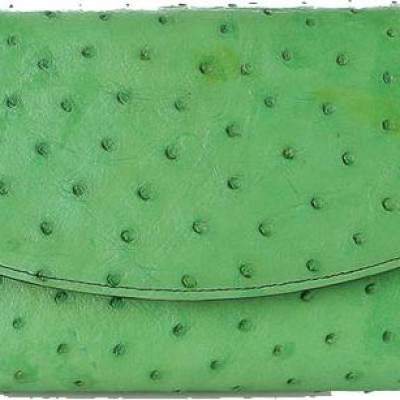 Túi xách nữ da đà điểu Huy Hoàng đeo chéo màu xanh lá HT6435