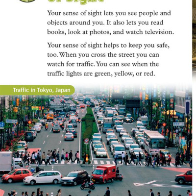 Oxford Read and Discover 3 Your Five Senses