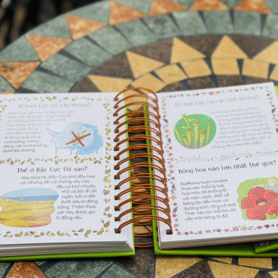 [Bìa cứng minh họa in màu] HỎI ĐÁP CÙNG EM! - LÀM THẾ NÀO ĐỂ BẢO VỆ THIÊN NHIÊN? - Sophie De Mullenheim - Nguyễn Thị Tươi dịch – Nhã Nam