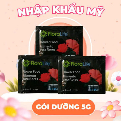 COMBO 5 Gói Cắm Hoa Tươi Lâu Gấp 2 Lần Và 14 Ngày Không Thay Nước Loại 5gr 