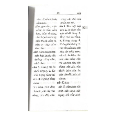 Sách - Từ Điển Chính Tả Tiếng Việt - VanLangBooks