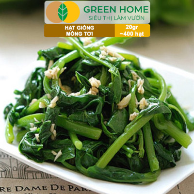 Hạt Giống Rau Mồng Tơi Greenhome, Gói 20g~400 hạt, Dễ Trồng Quanh Năm, Nảy Mầm Cao, Thu Hoạch Nhanh, Năng Suất Cao R11