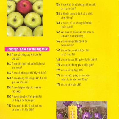 Khoa Học Cho Lứa Tuổi Thiếu Niên - Mười Vạn Câu Hỏi Vì Sao - Văn Hoá Và Đời Sống