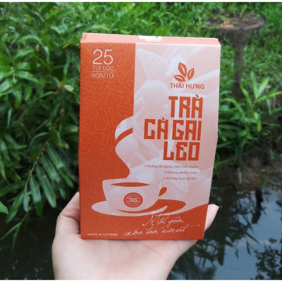Trà Cà gai leo Thái Hưng - Thải độc gan, mát gan, giải rượu - Hộp 25 túi lọc 5g