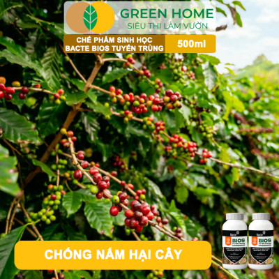 Chế Phẩm Sinh Học Bacte Bios Tuyến Trùng, Green Home, Chai 500ml, Từ Thảo Mộc, Hiệu Lực Nhanh Mạnh