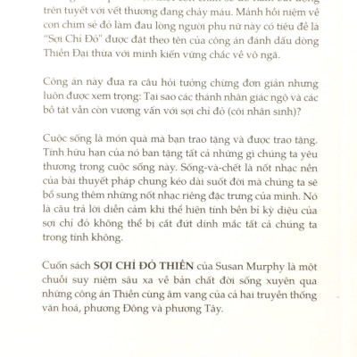 Sợi Chỉ Đỏ Thiền