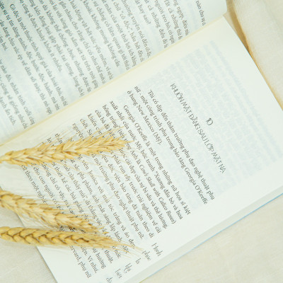 Sách Hạnh Phúc Là Khi Biết Đủ ( 336 trang ), Sách tôn giáo, triết học nghệ thuật sống, Tất Thục Mẫn - Hiệu sách Genbooks