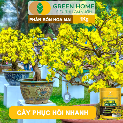 Phân Bón Hoa Mai Greenhome, Minro, Bao 1kg, Hữu Cơ, Dưỡng Cây, Bung Chồi, Mượt Lá, Khoẻ Rễ, Bền Hoa