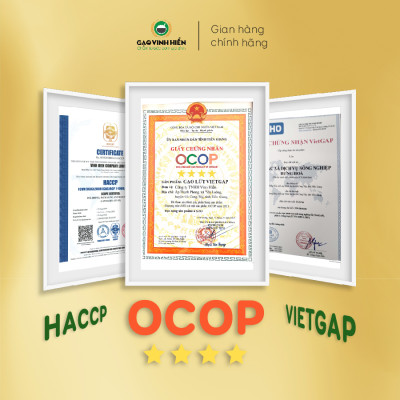 Đặc sản Tiền Giang - Combo 6 túi Gạo Lứt VietGAP 2kg tặng thêm 1 túi Lứt VietGAP 2kg - Đạt chuẩn VietGAP và OCOP 4 sao