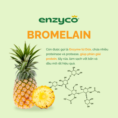Nước rửa chén bát sinh học ENZYCO 465ml - Chiết xuất Bồ hòn và Enzyme Dứa
