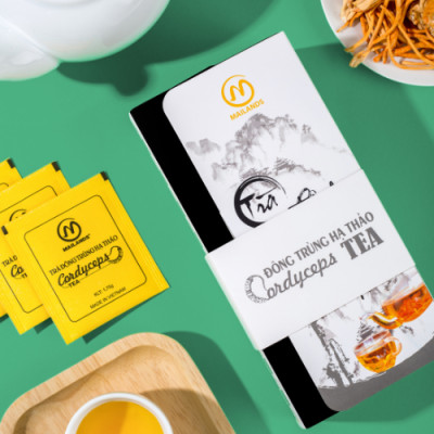 Trà Túi Lọc Đông trùng hạ thảo Mailands - 20 túi/hộp, mẫu quấn dây trắng - Dược Thảo Mailands