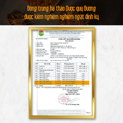 Đông trùng hạ thảo bán tự nhiên Dược Quý Đường hộp 20g - Hỗ trợ bổ phế, ích can thận, bồi bổ cơ thể