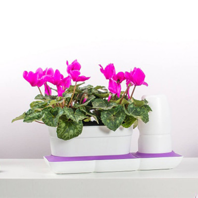 Chậu Trồng Cây Thông Minh Tự Động Tưới Basic Uno, làm bằng chất liệu nhựa PP Chống UV giúp cây phát triển tốt ngay cả trong môi trường nắng nóng, nhập khẩu Châu Âu