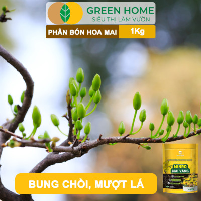 Phân Bón Hoa Mai Greenhome, Minro, Bao 1kg, Hữu Cơ, Dưỡng Cây, Bung Chồi, Mượt Lá, Khoẻ Rễ, Bền Hoa