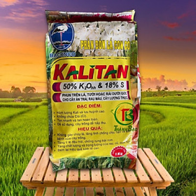KALI TAN baconco 1Kg - đậu trái, ngọt quả, tăng khả năng chống chịu, chống rụng trái, tăng chất lượng,