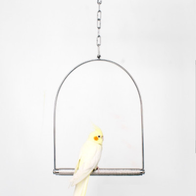 1 XÍCH ĐU INOX CAO CẤP 304 siêu bền dùng cho mọi dòng vẹt đứng (cây ngang nhám có thể mài móng)