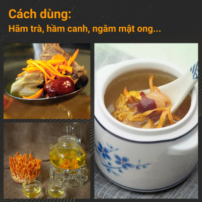 Đông trùng hạ thảo bán tự nhiên Dược Quý Đường hộp 20g - Hỗ trợ bổ phế, ích can thận, bồi bổ cơ thể