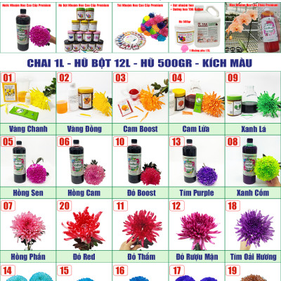 Thuốc Nhuộm Hoa Cúc Mẫu Đơn chuyên nghiệp đậm đặc hơn 50% sơ nước nhuộm hoa cúc lưới thông thường (Chai 1L màu nước hoàn chỉnh) nhuộm đổi màu trên 200 cành hoa cúc nhập khẩu Công Nghệ Israel