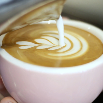 Cà phê bột Arabica Cầu Đất 500g nguyên chất 100% Coffee Tree  thơm nồng, vị nhẹ, gu tây