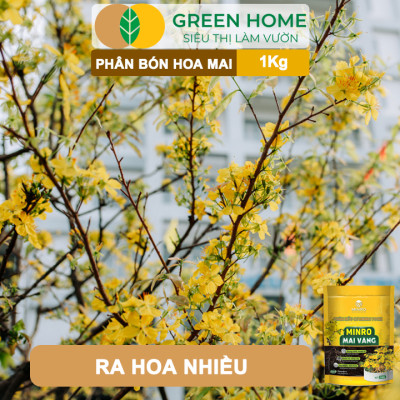 Phân Bón Hoa Mai Greenhome, Minro, Bao 1kg, Hữu Cơ, Dưỡng Cây, Bung Chồi, Mượt Lá, Khoẻ Rễ, Bền Hoa