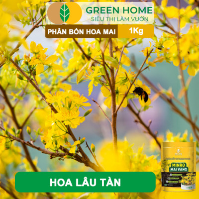 Phân Bón Hoa Mai Greenhome, Minro, Bao 1kg, Hữu Cơ, Dưỡng Cây, Bung Chồi, Mượt Lá, Khoẻ Rễ, Bền Hoa