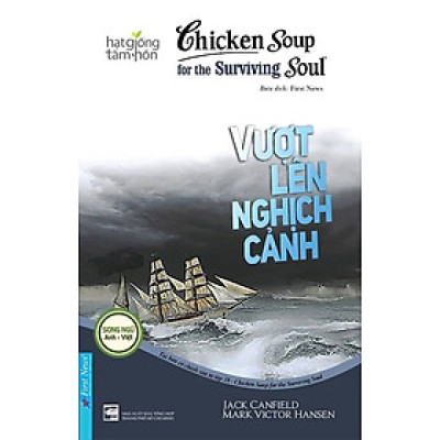 Hạt Giống Tâm Hồn - Chicken Soup For The Soul - Vượt Lên Nghịch Cảnh - FN