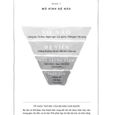 Chữa Lành Những Sang Chấn Tuổi Thơ