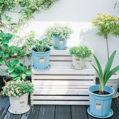 Chậu trồng cây decor MONROVIA kèm đĩa lót, trồng hoa, trang trí trong nhà, ngoài trời, ban công, tiêu chuẩn châu Âu