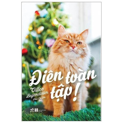 Sách - Điên toàn tập! (Nhã Nam HCM)