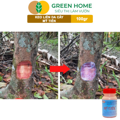 Keo Liền Sẹo Cho Cây Greenhome, Mỹ Tiến, Chai 100gr, Liền Nhanh Vết Cắt Da Cây, Chiết Cành, Tạo Dáng Bonsai, Lan, Kiểng
