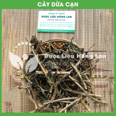 CÂY DỪA CẠN khô đóng gói 1kg - congtyduoclieuhonglan