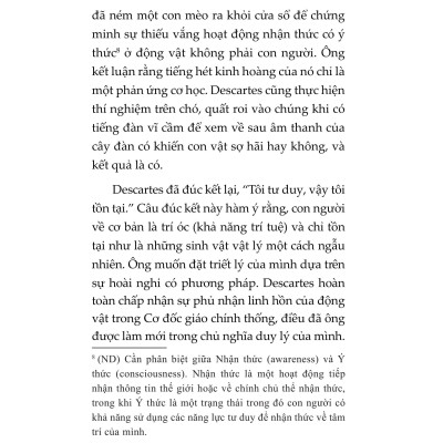 Mèo Và Triết Lý Nhân Sinh