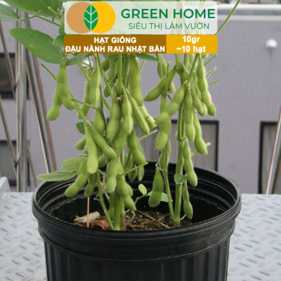 Hạt Giống Đậu Nành Rau Nhật Bản Greenhome, Gói 10GR~10 hạt, Dễ Trồng Quanh Năm, Nảy Mầm Cao T36