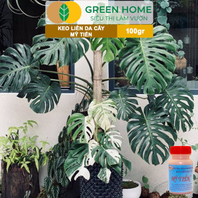 Keo Liền Sẹo Cho Cây Greenhome, Mỹ Tiến, Chai 100gr, Liền Nhanh Vết Cắt Da Cây, Chiết Cành, Tạo Dáng Bonsai, Lan, Kiểng