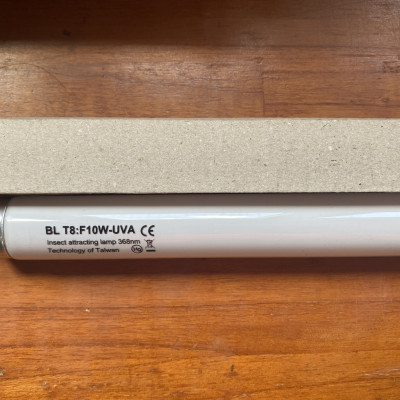 Bóng đèn Taiwan 10W