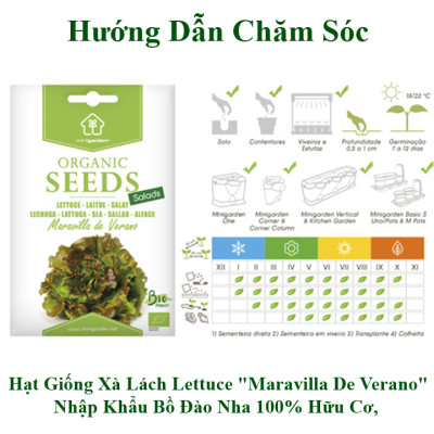 Set 3 Túi Hạt Giống Hữu Cơ Xà Lách Lettuce "Maravilla De Verano" Nhập Khẩu Minigarden Bồ Đào Nha 100% Organic (Túi từ 1.500 - 2.100 hạt) Tỷ lệ nảy mầm cao