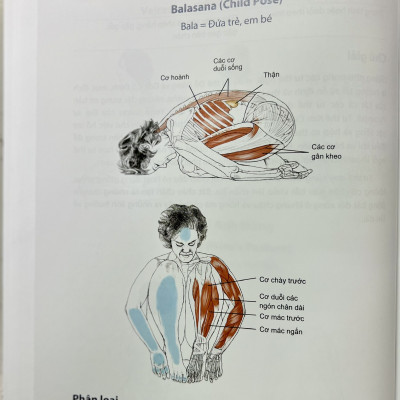 Giải phẫu học YOGA