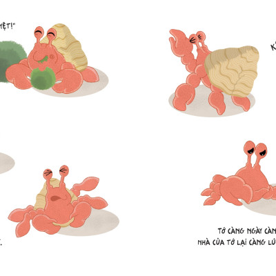 Chạm Tay Vào Toán Học - Chuyến Phiêu Lưu Của Cua Ẩn Sĩ